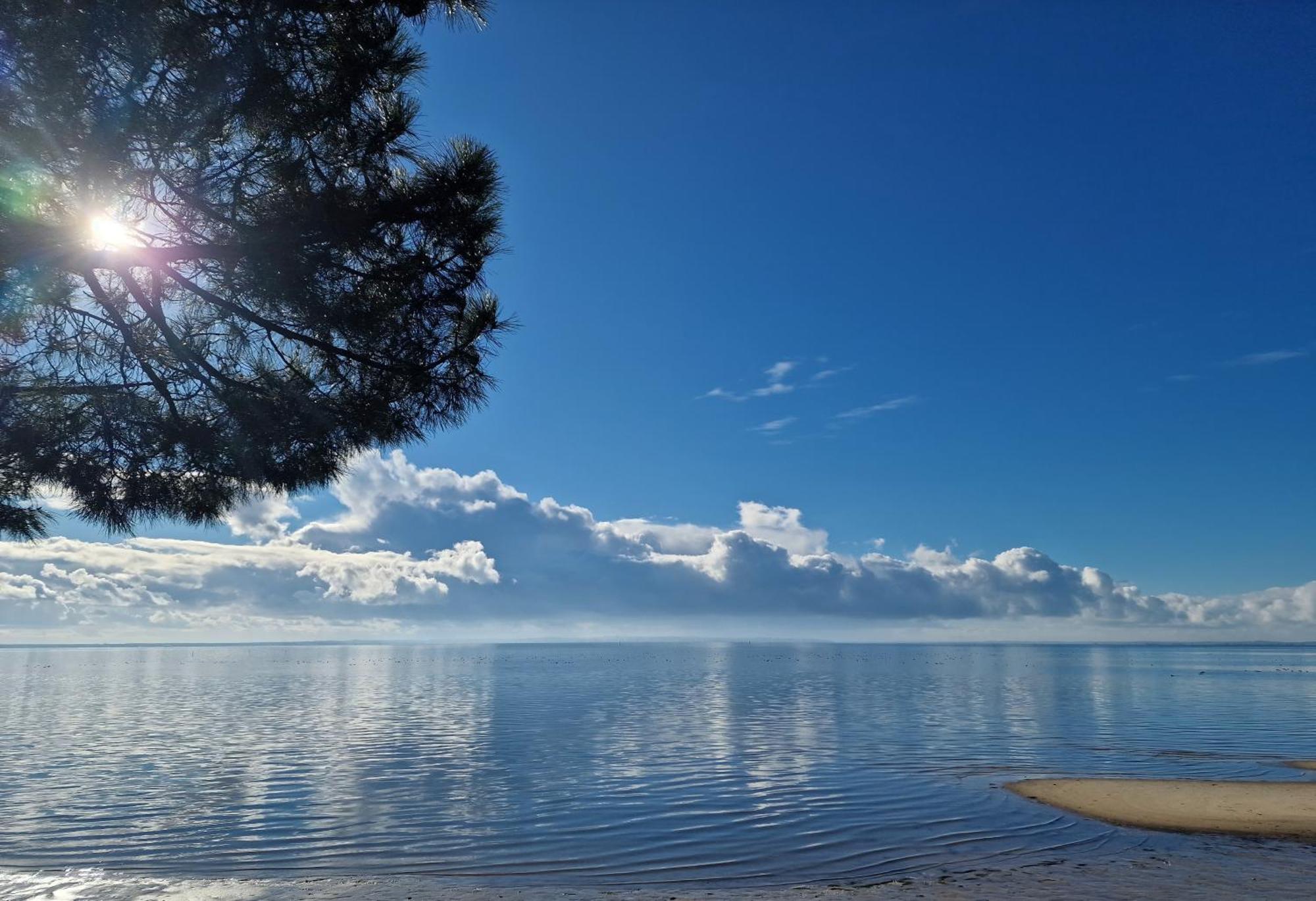 Villa Petit-Pere - A 400M De La Plage Taussat-les-Bains Exteriér fotografie